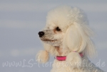 06 Prinzessin Lillifee